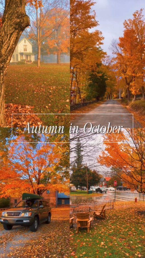 autumn in october