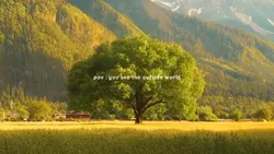 see the world 