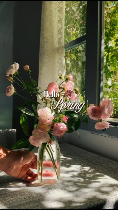 hallo frühling