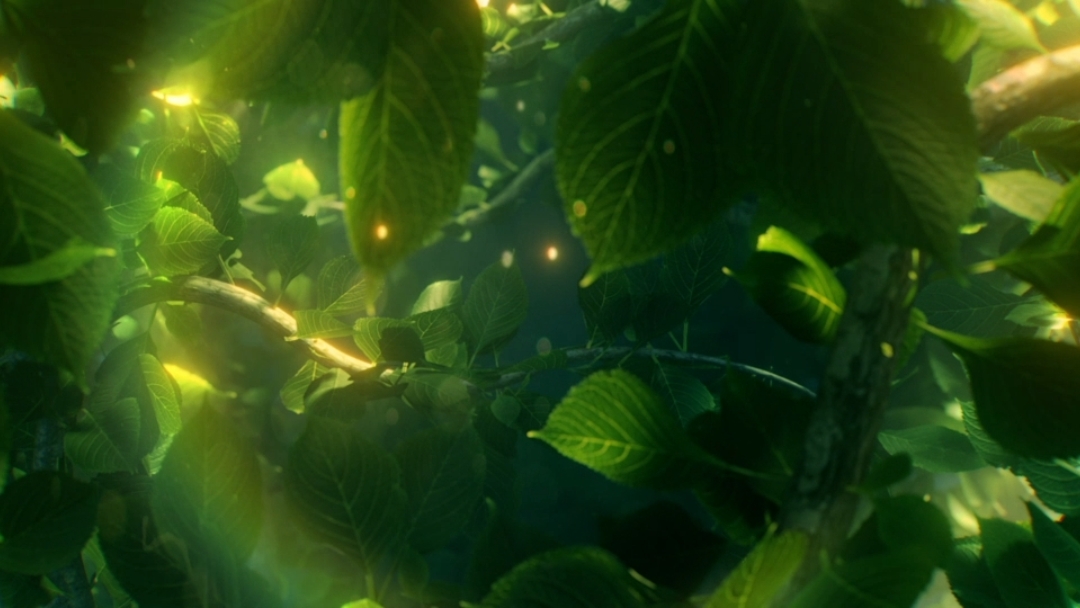 Natural Intro