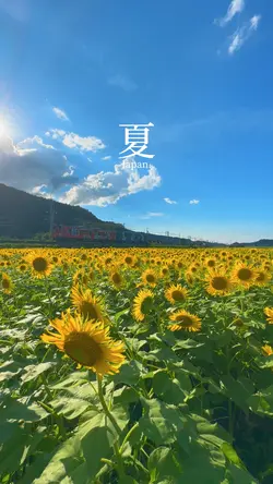 夏を楽しもう