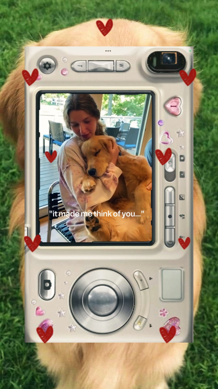 Mi Perro 