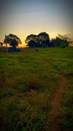 Caipira