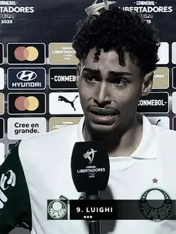 luighi palmeiras
