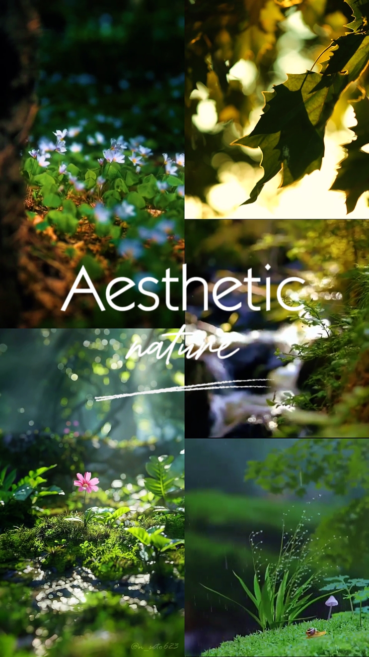 aesthetic nature