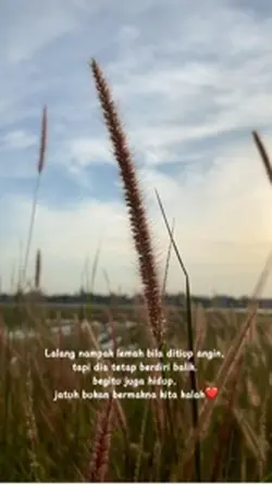 Quotes