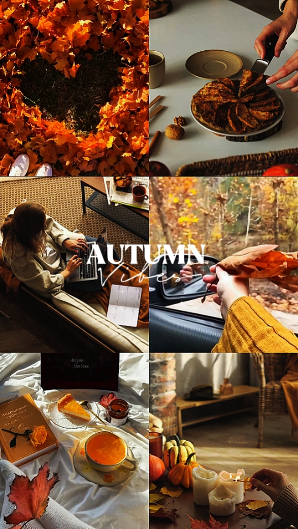 AUTUMN Vibes Vlog 