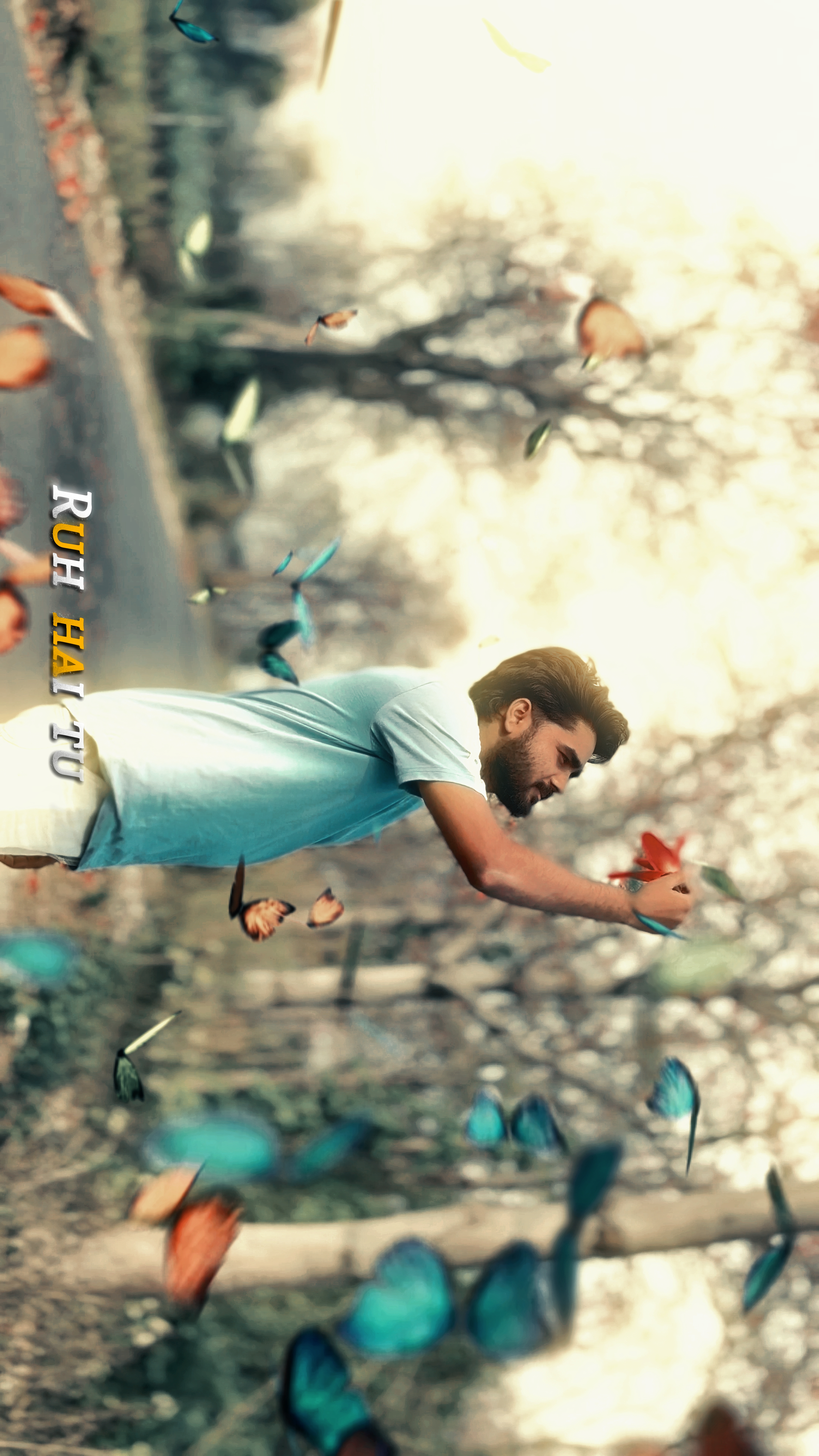 Cover Picture