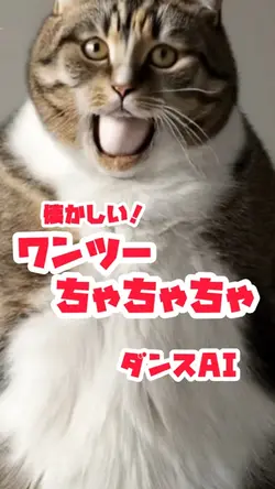 ワンツーチャチャチャ💃