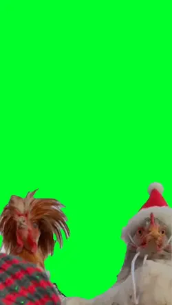 Chicken feliz navids