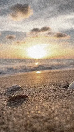 Slowmo☀️