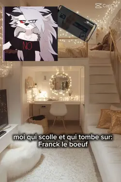Franck le boeuf 