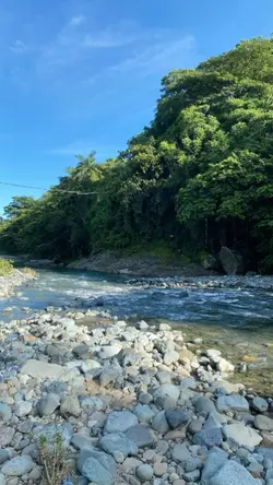 Nature 