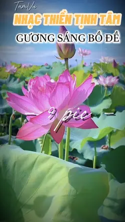 NGẠC TĨNH TÂM 