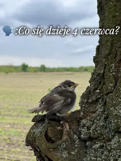 Moje urodziny 