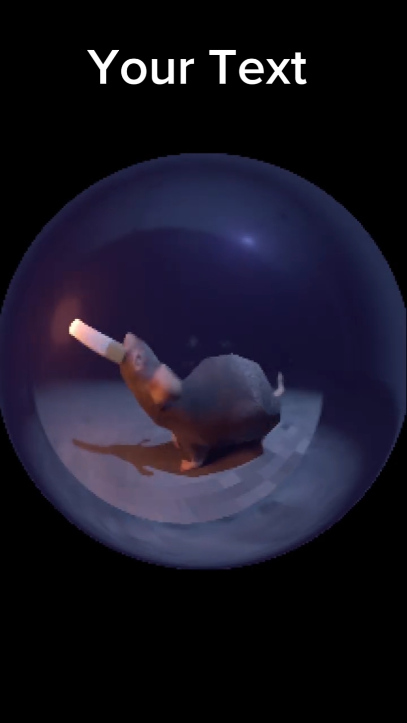 Funny mouse meme