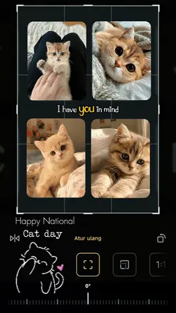 National cat day