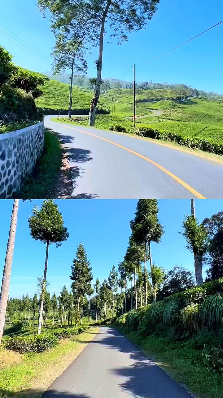 2 video collage