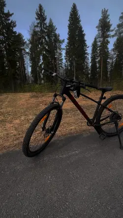Trekpyörä