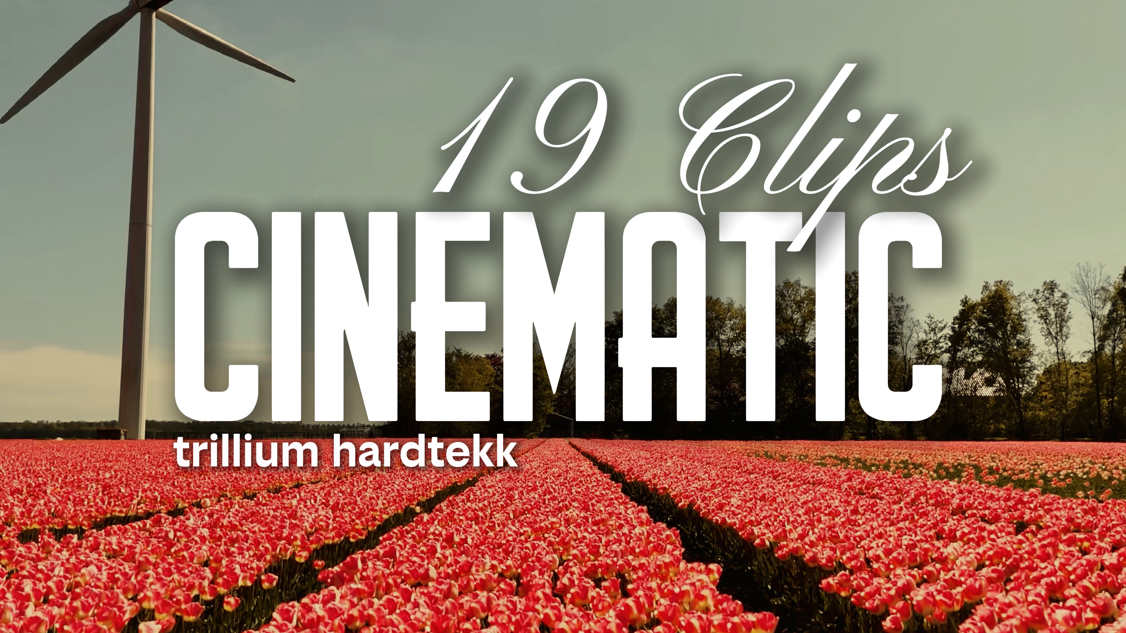 Trillium hardtekk 