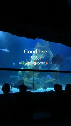 Good bye 2024