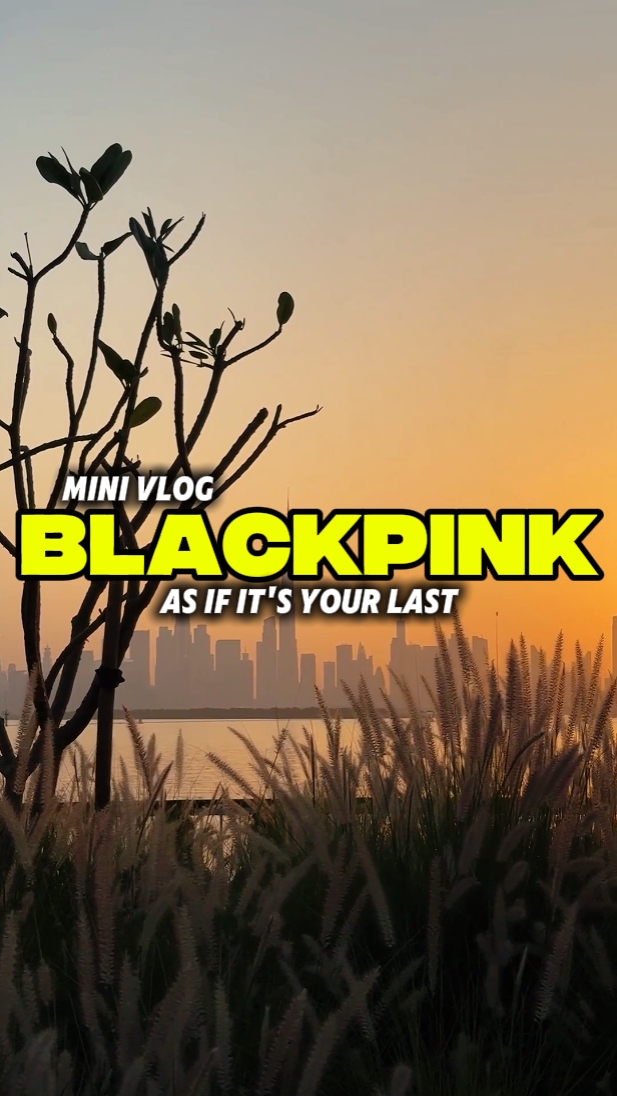 BLACKPINK MINI VLOG