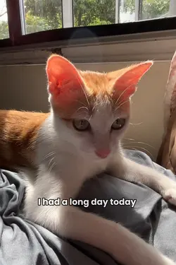 Extremely Busy Today