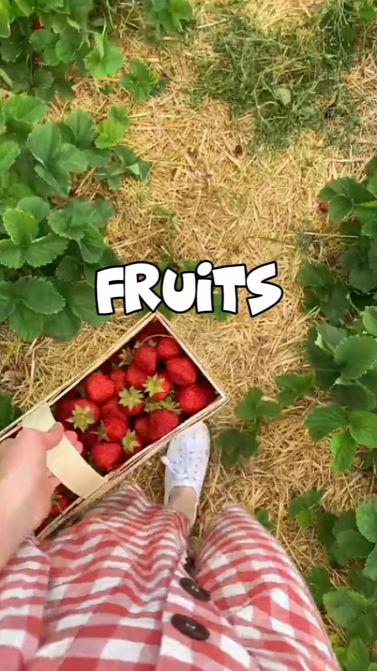 fruits vlog 