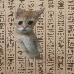 Egypt meme