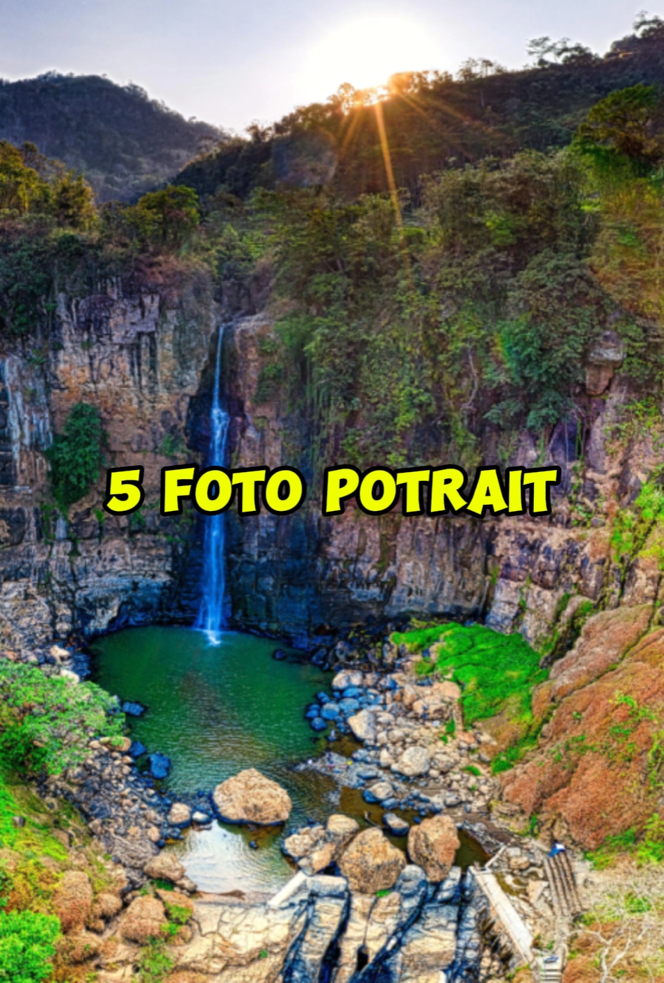 5 foto potre