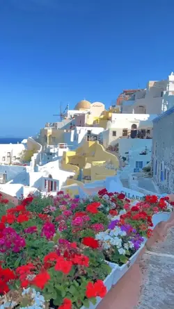 6 video Traveling