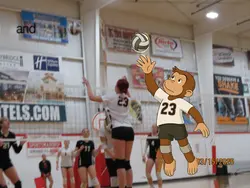 creds to ava!