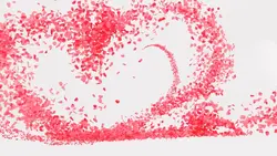 flower petals