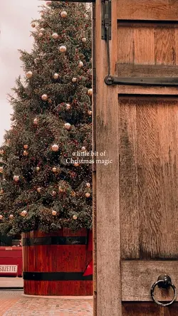 Christmas magic ♥️✨
