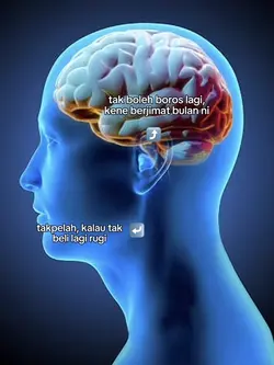 text bole tukar