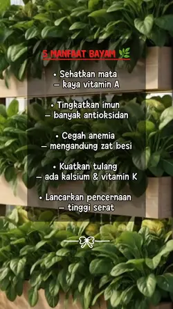 Manfaat bayam 