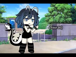 COLLAB :D