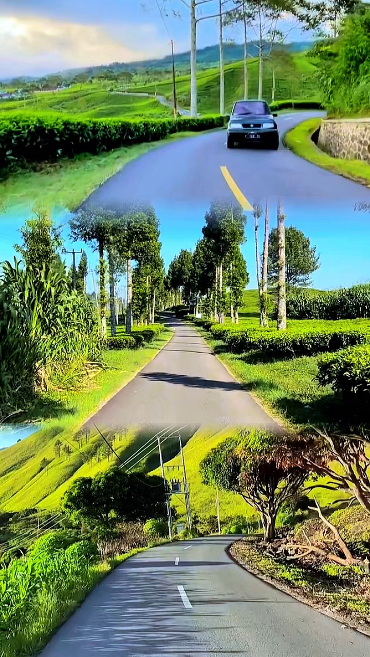 3 video 1 tata letak HD