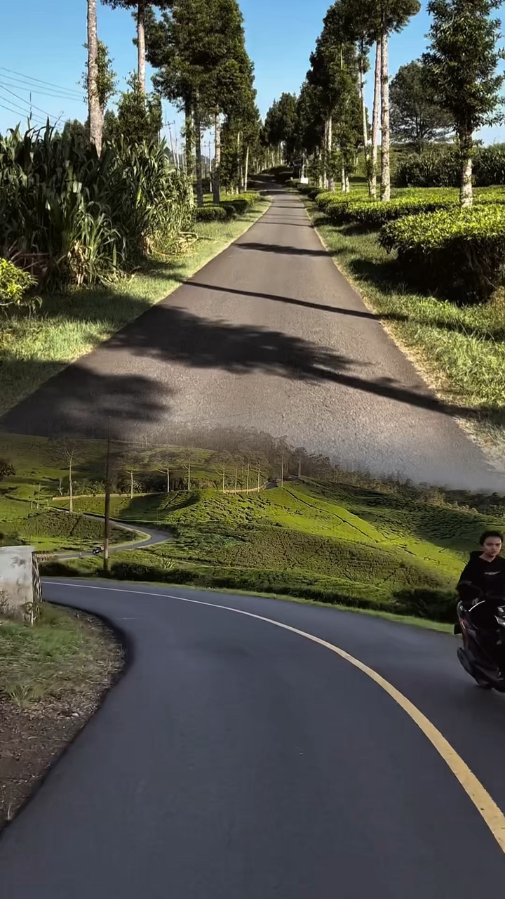 2 video 1 frame