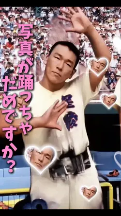 可愛いだけじゃだめですか?
