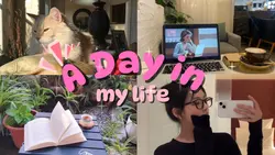 opening vlog 