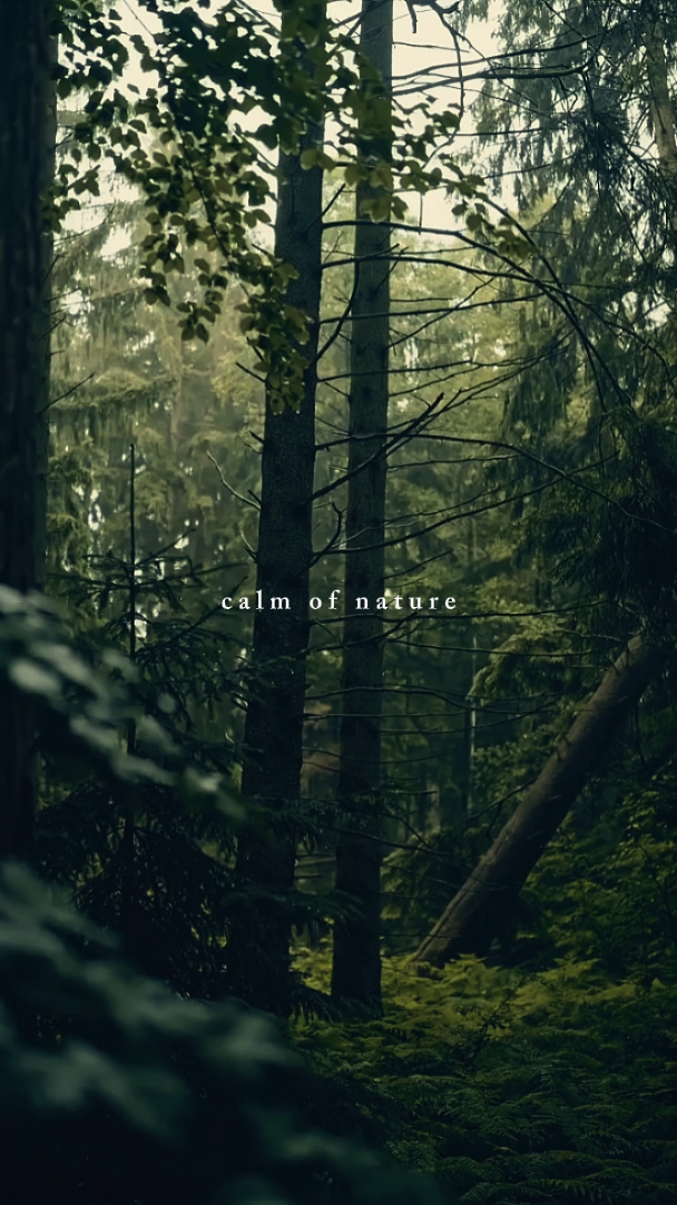 calm of nature