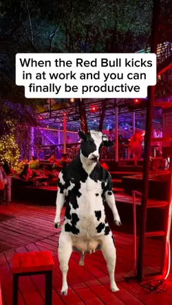 finally be productiv