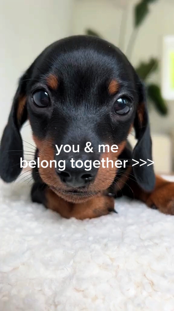 You&Me Together 