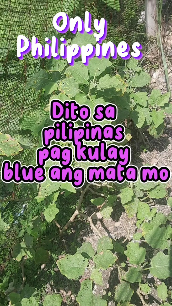 Only Philippines 