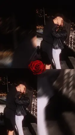 red rose