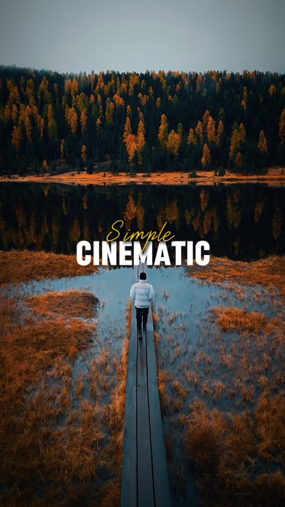 CINÉMATIQUE SIMPLE 