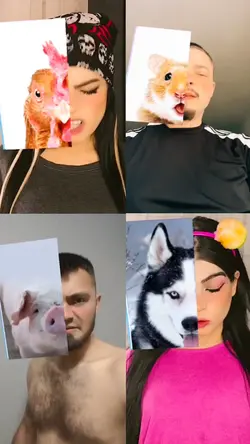 What’s your animal?