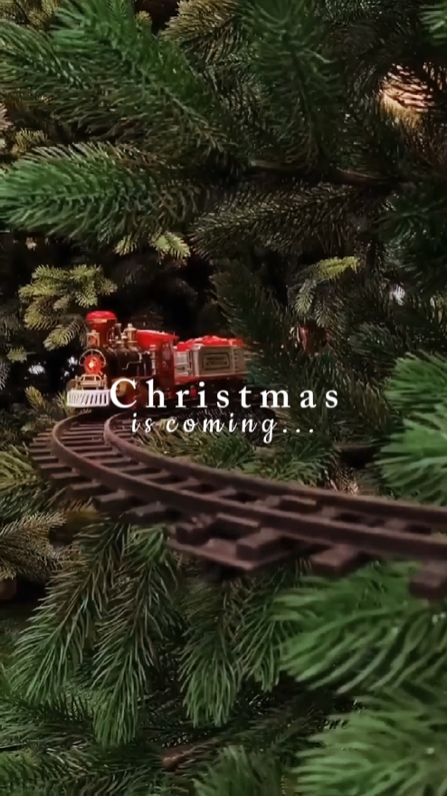 Navidad 2025