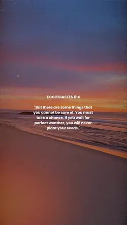 Ecclesiastes 11:4